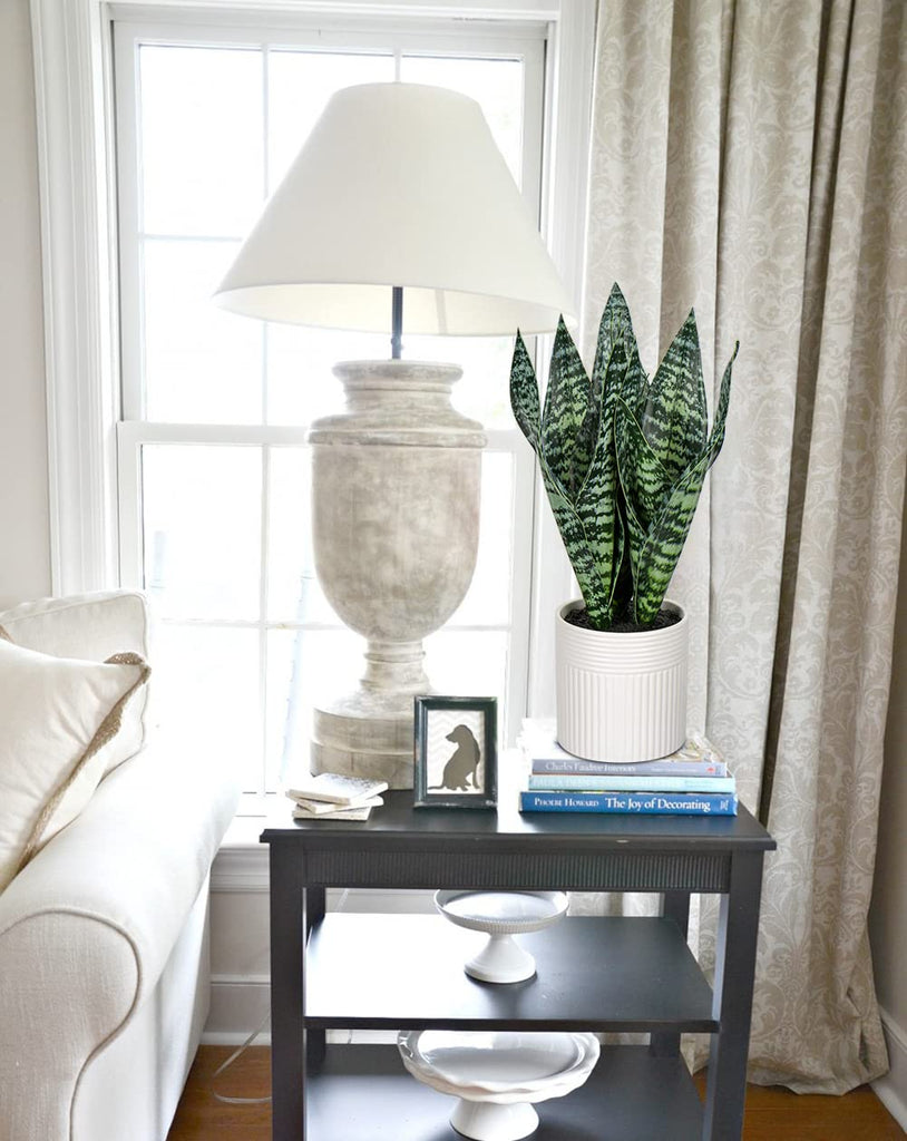 14'' Fake Snake Plant Home Decor Real Touch Faux Sansevieria Plant in White Ceramic Pot Artificial Snake Plant with