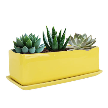 14 Inch Rectangular Modern Minimalist Ceramic Succulent Planter Pot - Window Box with Saucer, Office Desktop Potted