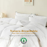 Organic Feather Down Comforter Full, Luxury Extra-Fluffy Duvet Insert