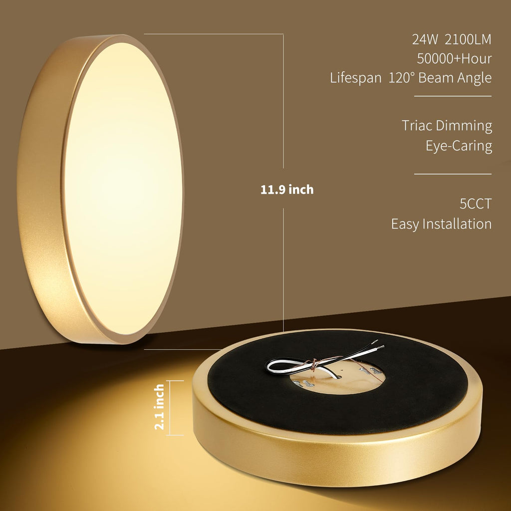 HLightnet Flush Mount Ceiling Light Gold LED Dimmable 5CCT 12 Inch 24W