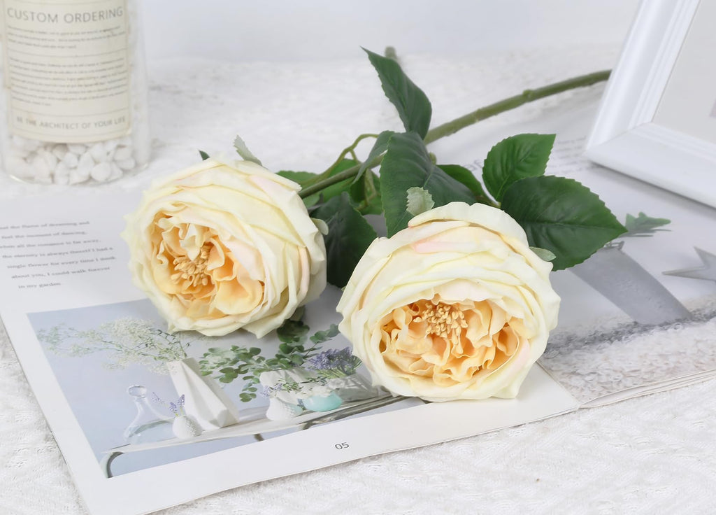 5PCS Real Touch Austin Roses Champagne Flowers Peony Artificial Flowers Fake Roses with Stems for Wedding Bouquet