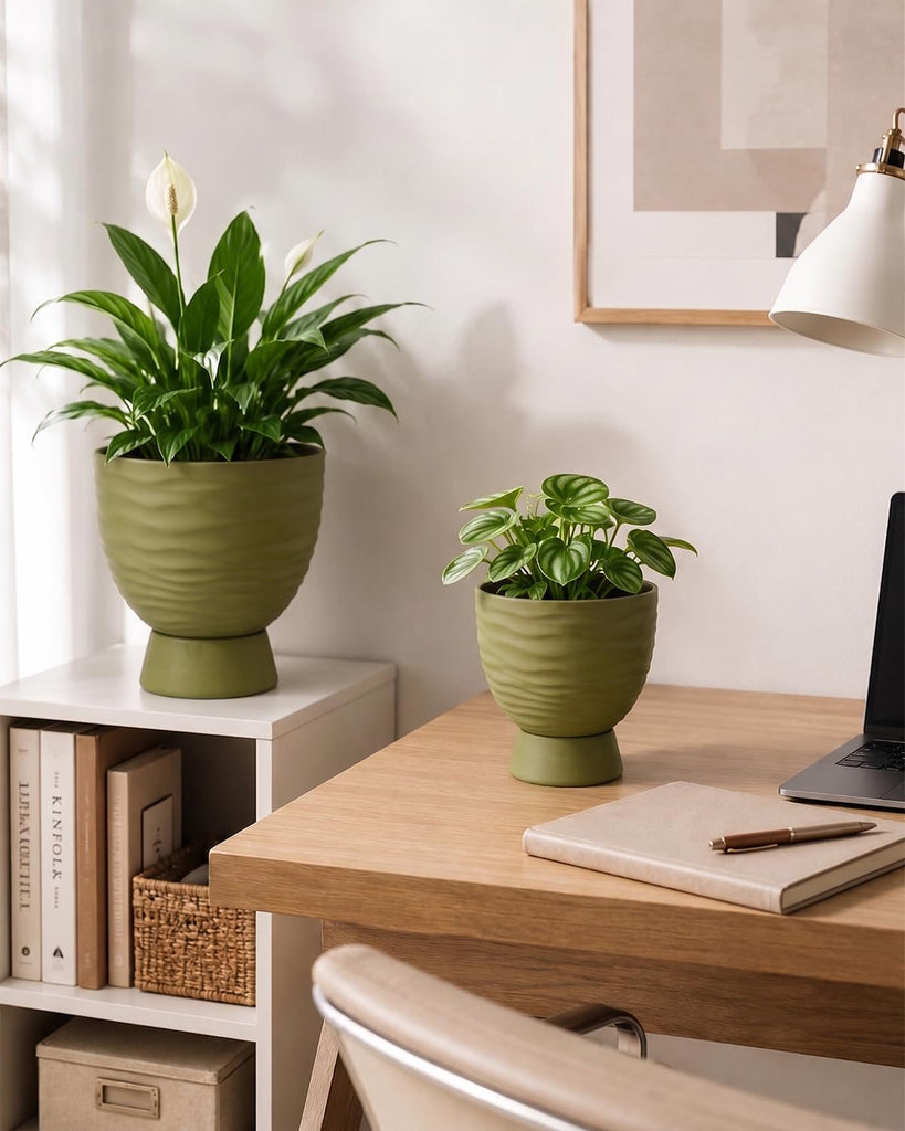 Green Terracotta Self Watering Plant Pots, 6 and 8 Inch with Saucers