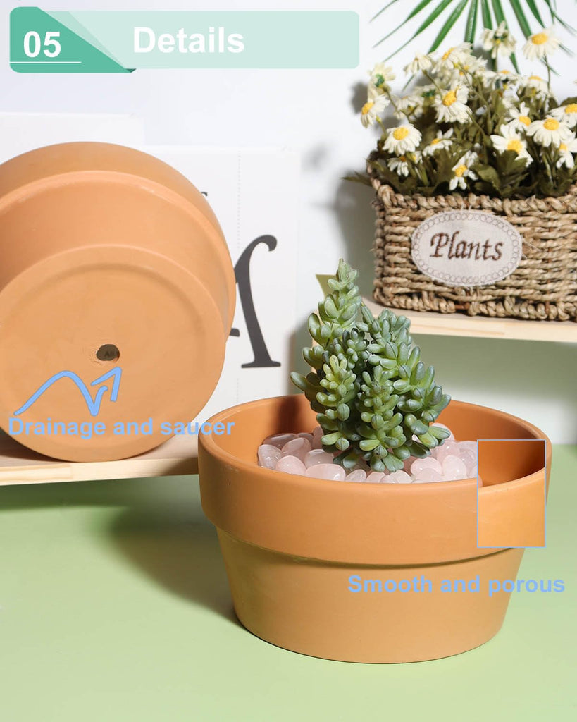 8 Inch Terracotta Shallow Planter Pots, 2 Pack, Drainage Hole