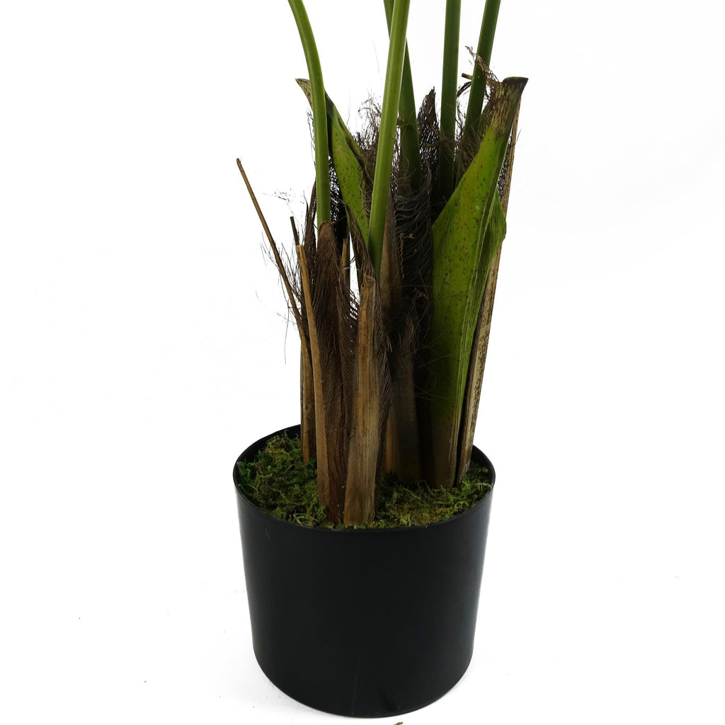 Large Artificial Tree, Silk, 120cm Kentia Palm