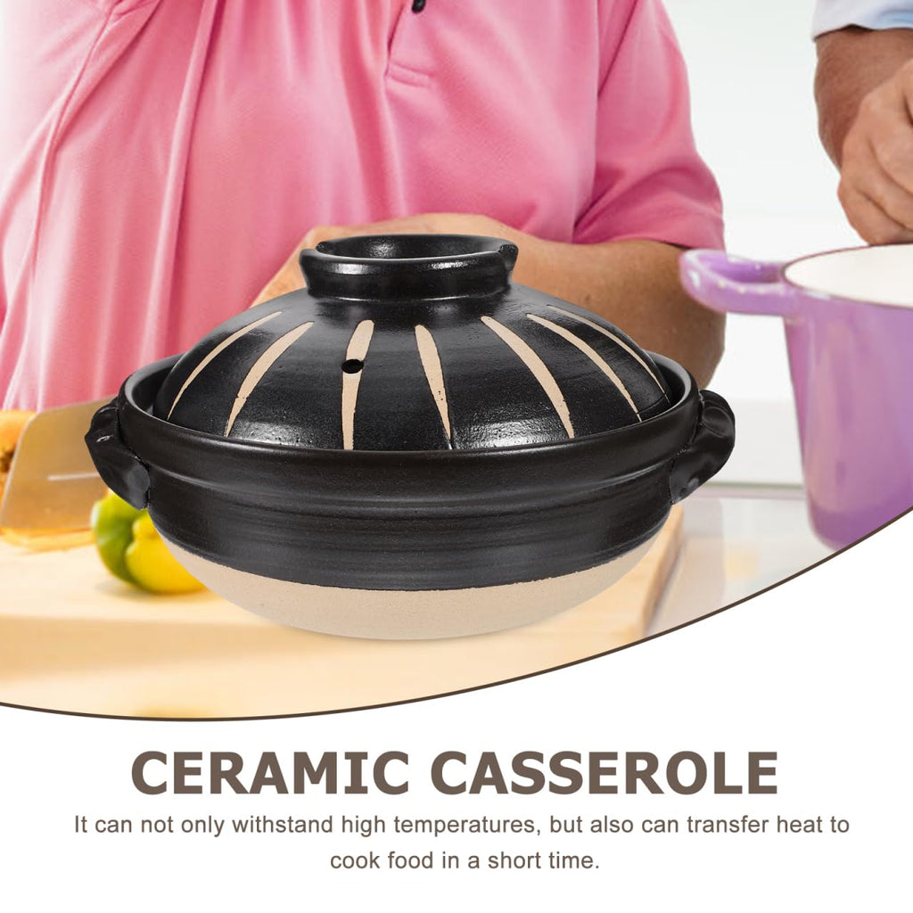 Japanese Donabe Ceramic Hot Pot: Casserole Earthenware Clay Pot Japanese Cooking Donabe Ceramic Casserole Pot Stock