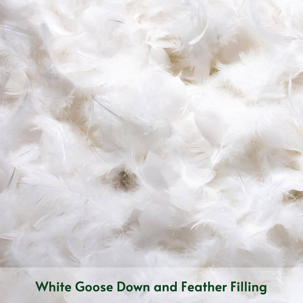 Down and Feather Throw Pillow Inserts, 22 x 22 Soft Fluffy Square Pillow Inserts with 100% Cotton Cover - Set of 2