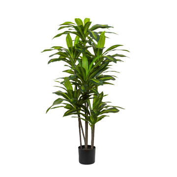5ft Dracaena Artificial Plant - Large Tropical Indoor Fake Tree with Lifelike Leaves - Tall Faux Floor Plant in Pot