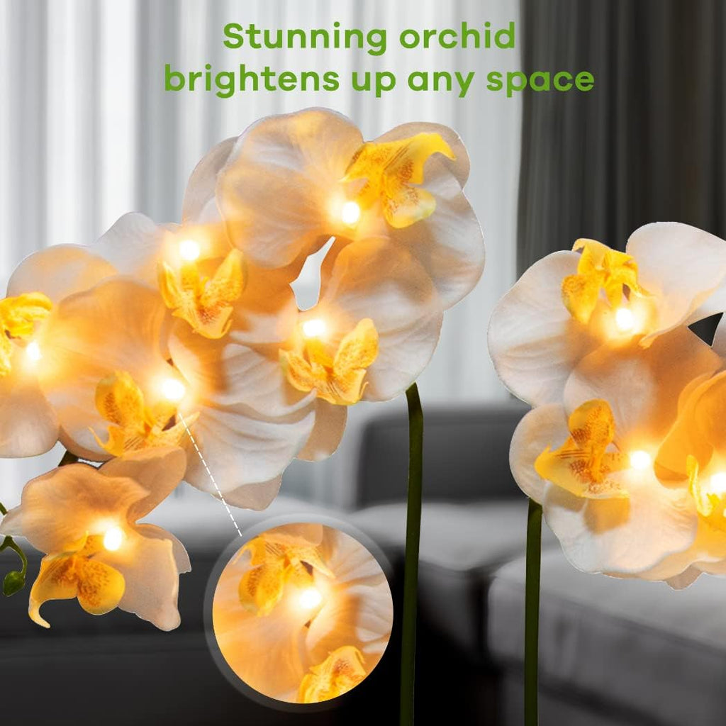 Orchid Lamp-LED Lighted Orchid Arrangements,Pre Lit Artificial Orchid,Light Up Flower Lights, Faux Orchid