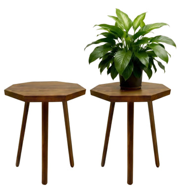 2 Pack Plant Stand for Indoor, 12x16in Large Octagon Wooden Plant Stand, Mid Century Modern Boho Stool for 5-15 Inch