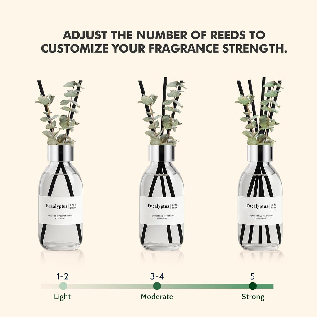 Reed Diffuser Set, 6.7 oz Eucalyptus Scented Diffuser with Sticks, Home Fragrance Reed Diffuser Shelf Decor