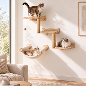 Cat Wall Shelves Wall Mounted Cat Climbing Set