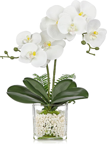 White Orchids Artificial Flowers 16.1" Faux Orchids Plant in Pot Fake Flower Arrangements with Glass Vases Small - Set of 7