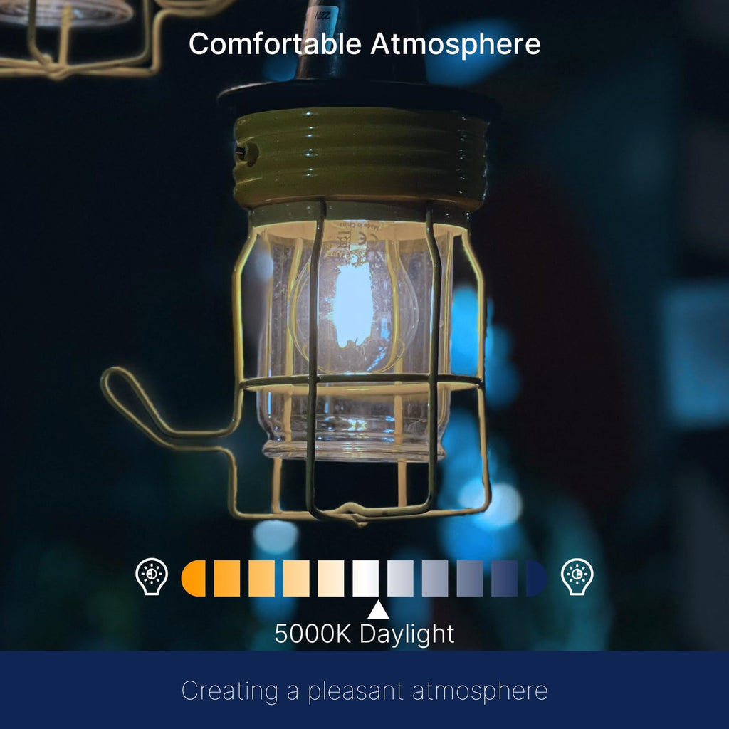 A15 Dimmable Edison Bulbs, 60W, 5000K Daylight, 6 Pack