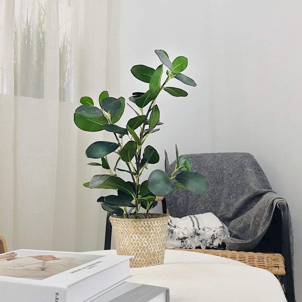 Artificial Ficus Tree Small Fake Plants in Weaved Pot 20" Height Desktop Decor Indoor Home Office Ins Style (Green, 1)