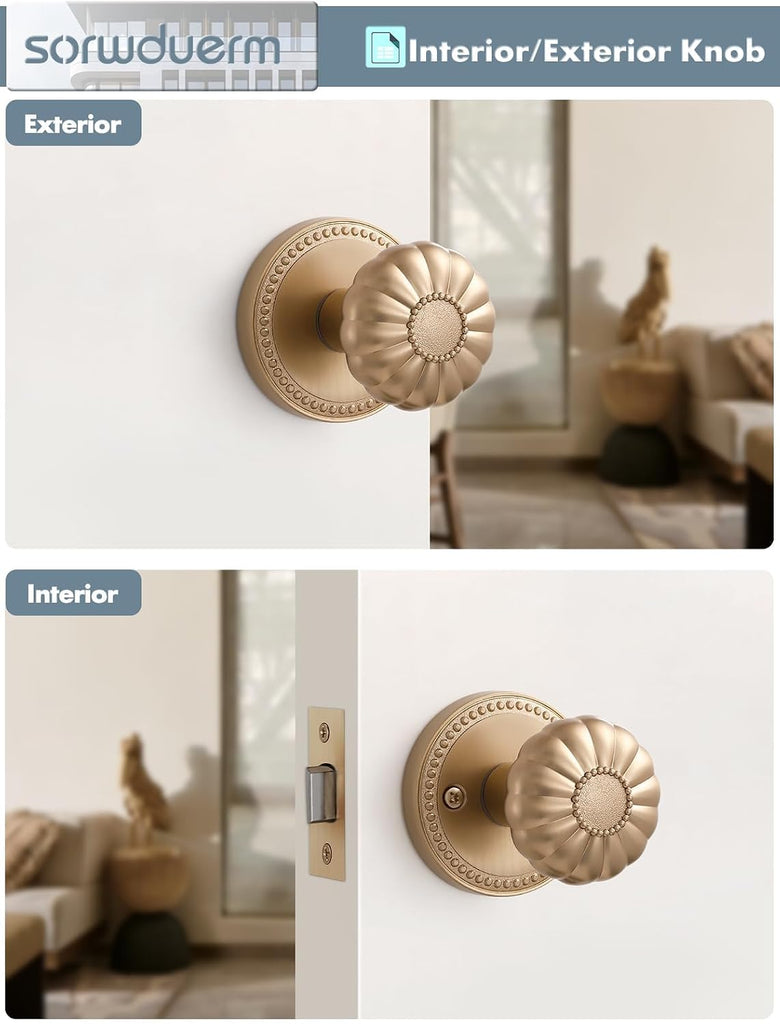 Door Knob Champagne Bronze Passage Interior 1 Pack