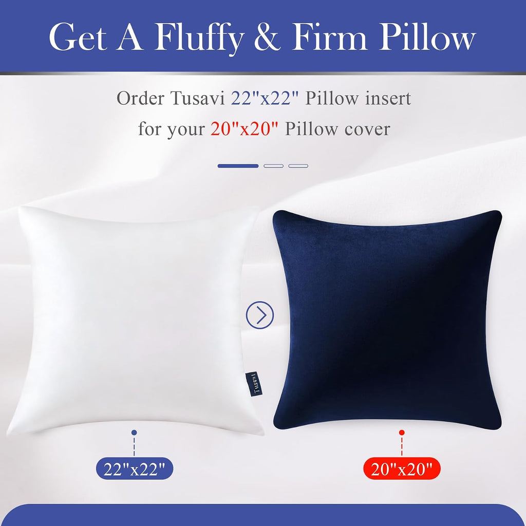 22 x 22 Throw Pillow Inserts() Firm & Fluffy Decorative Down Alternative 22 Pillows for Couch Sofa Bed Living - Set of 2