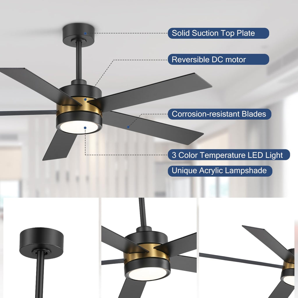 Ceiling Fan with Light, 52 Inch Modern Industrial Ceiling Fan with Reversible DC Motor, Downrod Mount Black and Gold