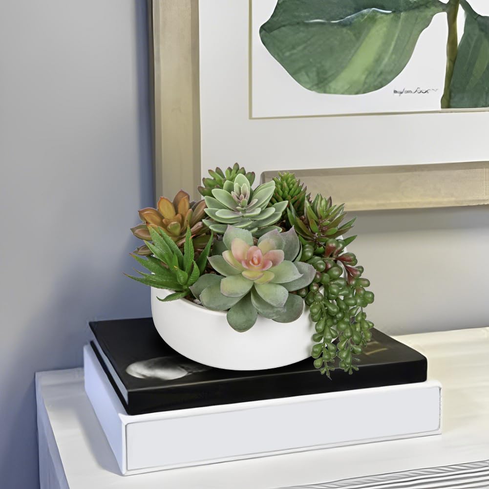 Artificial Succulent Plants in Pot 5.5 Inch Fake Succulents Arrangement