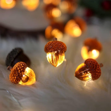 Decorative Fairy Acorn String Lights Thanksgiving Decoration Autumn Garland Cute Novelty Lights 30 LEDs 10 ft Battery