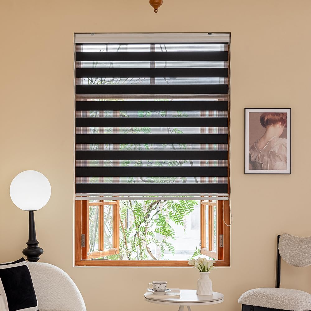 Zebra Blinds for Windows, Roller Light Filtering Control Semi Sheer Windows Shades, Black Dual Layer Fabric Manual