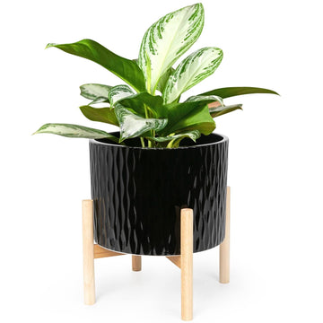 Ceramic Plant Pot with Stand, 10 Inch Planter with Wood Shelf, Modern Round Flower Pots Indoor with Wood Planter