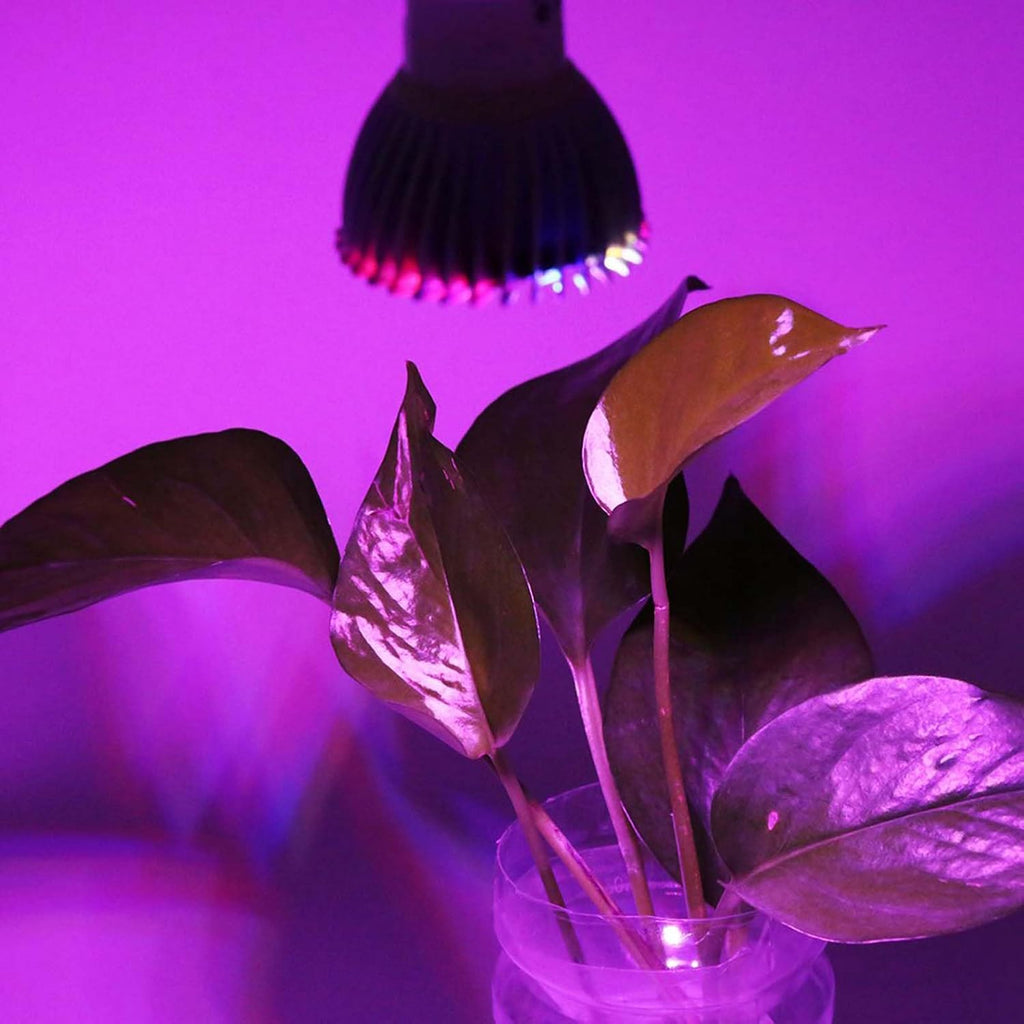 28W Full Spectrum LED Grow Light Bulbs for Plants 120 Wide Beam Angle E14/GU10 Base for Hydroponics Bonsai Garden