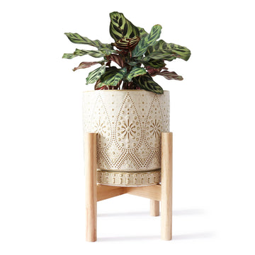 8 Inch Plant Pot with Stand, Ceramic Planter with Drainage Holes, Saucers and Mesh Pads for Indoor-Outdoor Plants
