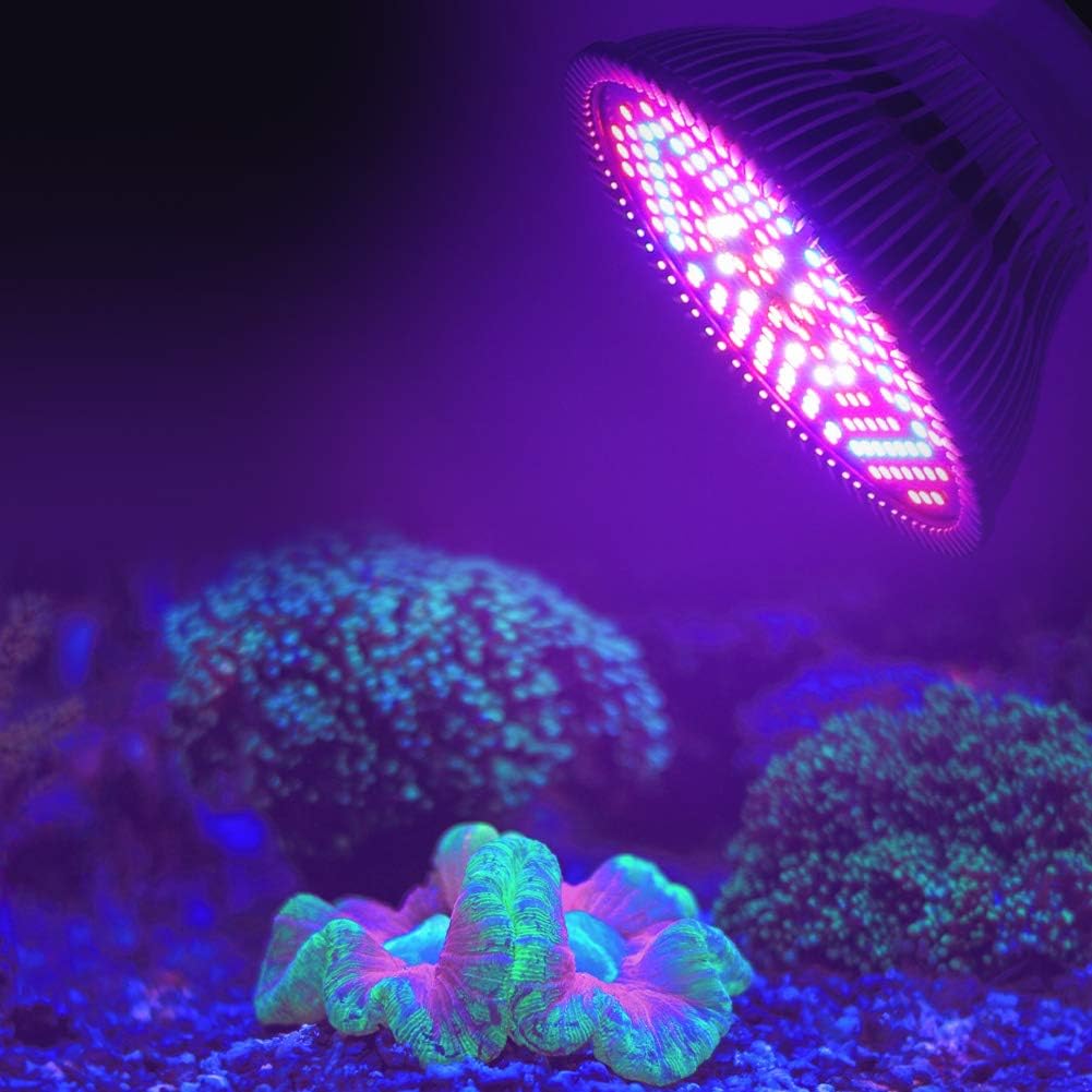 100W E27 Plant Grow Light, Full Spectrum Bulb for Greenhouse