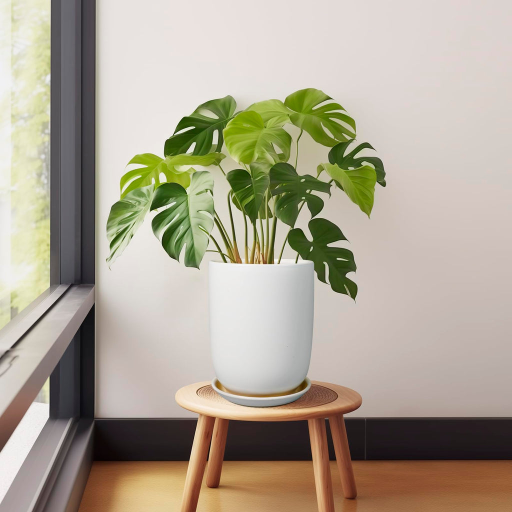 Plant Pot 8 Inch - Ceramic Planter for Indoor Plants Outdoor, Large Plant Pot with Drainage Hole and Saucer, Modern