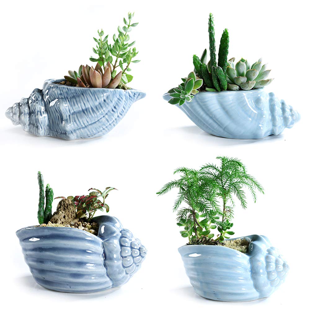 5.5" Conch Shell Succulent Pots, Ceramic Ocean Planters with Hole, 4 Pack