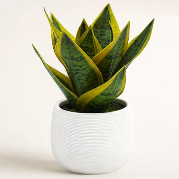 8" Fake Snake Plant in White Ceramic Pot, Small Faux Plant