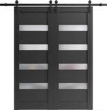 Sliding Double Barn Doors with Hardware | Quadro 4113 Matte Black with Frosted Opaque Glass | 13FT R