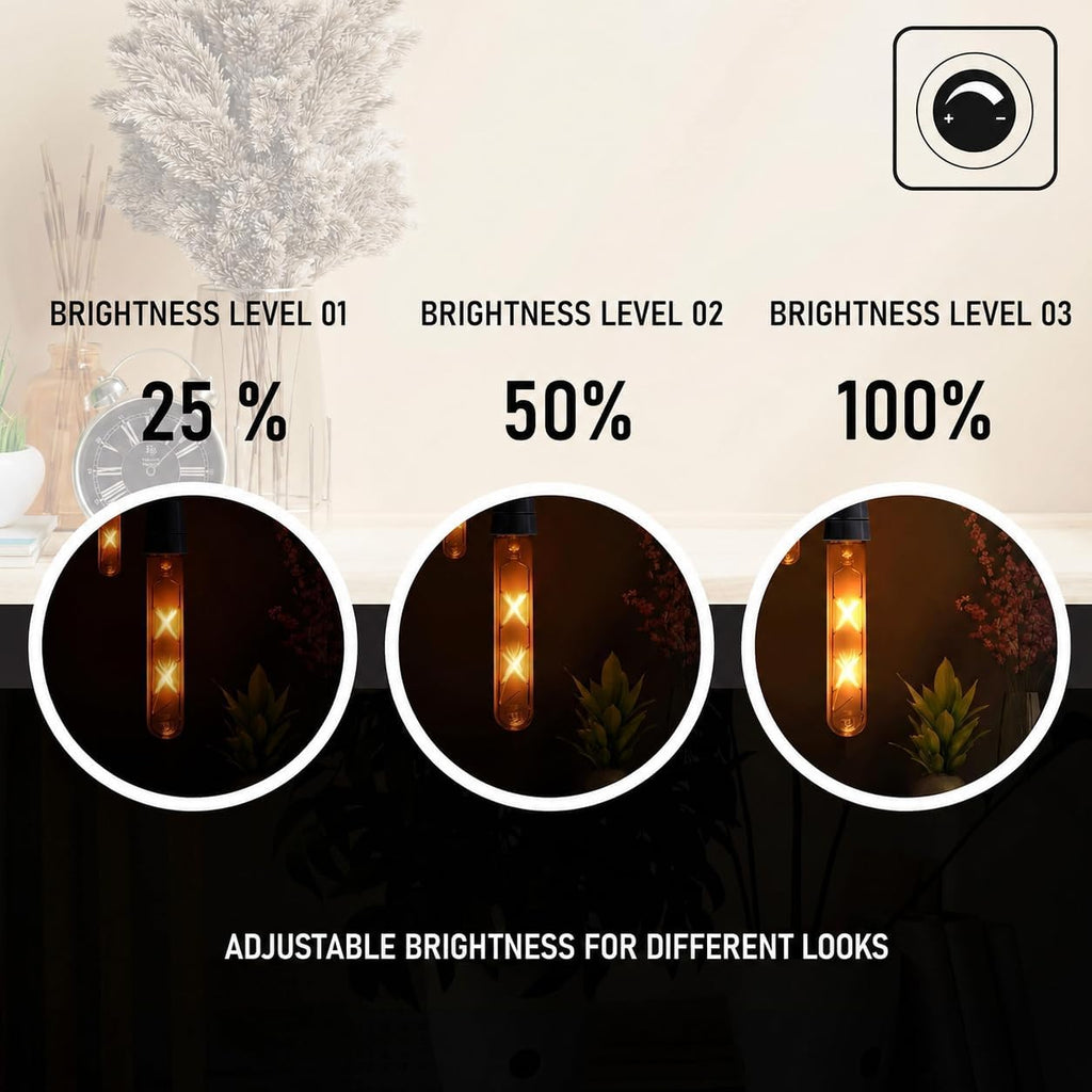 T10 E26 LED Edison Bulbs 4W Dimmable 2700K Amber 40W Equivalent (Pack 2)