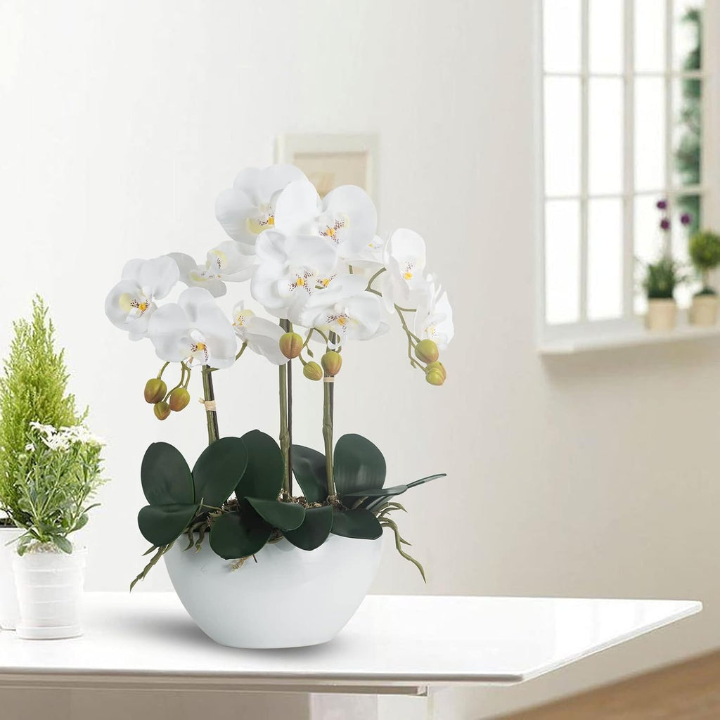 Artificial Orchid Flowers Potted in Ceramic Pot, White Faux Phalaenopsis Orchids for Table Centerpiece, Realistic