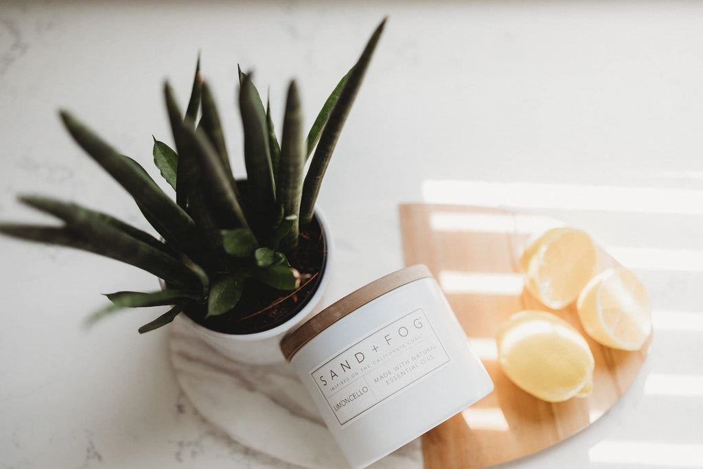 Scented Candle - Ocean & Sea Salt - Additional Scents and Sizes - 100% Cotton Lead-Free Wick - Luxury Air Freshening