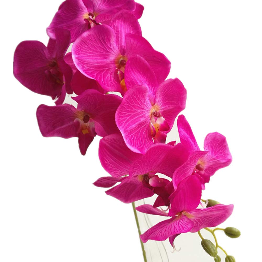 6pcs Orange Color Moth Orchids Phalaenopsis 8 Heads Artificial Silk Large Orchid Flower Branch (Orange)