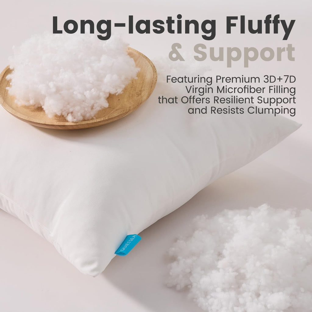 20x20 Pillow Inserts, 2 Pack Down Alternative Throw Pillow Inserts - Set of 2