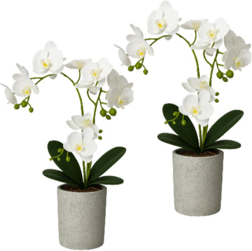 Fake Orchids Flowers in Pot 15.7 Inch Faux Orchids Artificial Floral Phalaenopsis with Vase Orchid Phalaenopsis - Set of 2