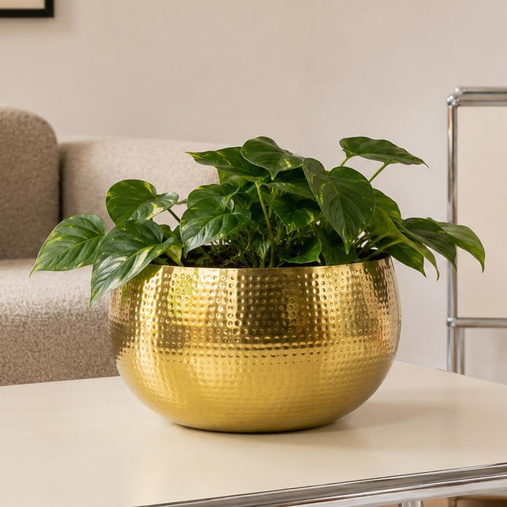 7305 Large Metal Planter 32 x 20cm Hammered Gold Colour-Straight Edge