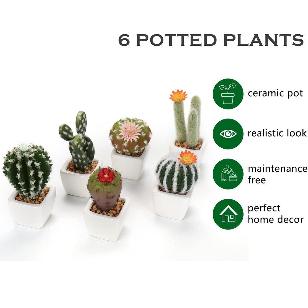 Small Artificial Cactus Plants in Ceramic Pots 6 Pcs Potted Fake Cactus