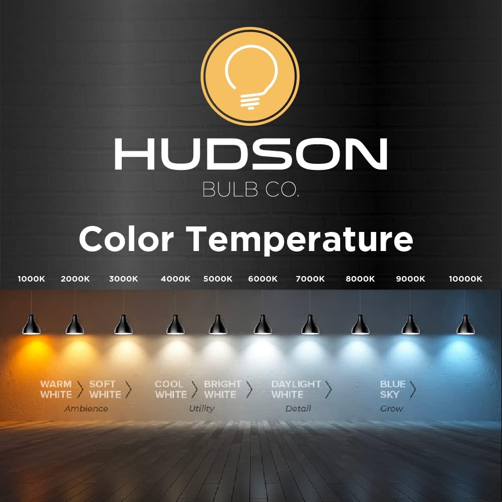 Vintage Incandescent Edison Light Bulbs 60W (4 Pack)- E26/E27 Base 2100K Dimmable Decorative Lightbulbs for Outdoor