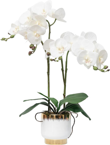 Orchids Artificial Flowers Real Touch Fake Flowers in Ceramic Pot 20" White Faux Orchid Plant Lifelike Silk