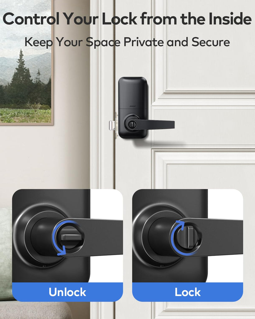Keyless Entry Door Lock Handle with Keypad, Matte Black