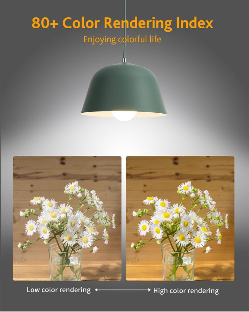 LED Vintage Edison Bulb, Dimmable, G30 G95 4W (40W Equivalent), LED Filament Bulb, 350 Lumen, 2200K (Warm White)