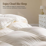 Lightweight Organic Feather Down Comforter Queen