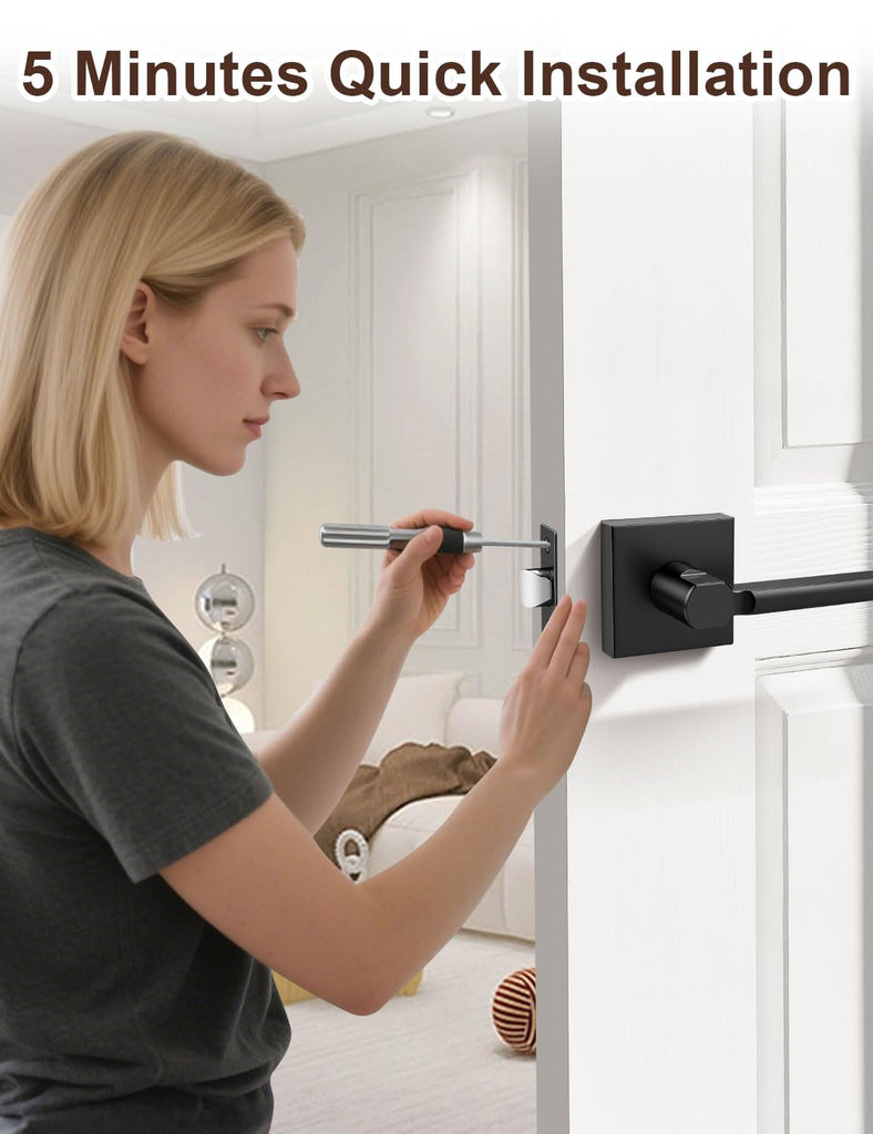 Matte Black Interior Passage Door Handles 1 Pack for Closet No Lock