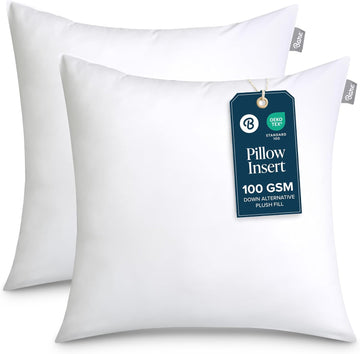 Throw Pillow Insert 22 x 22 Inches (, White) - Set of 2