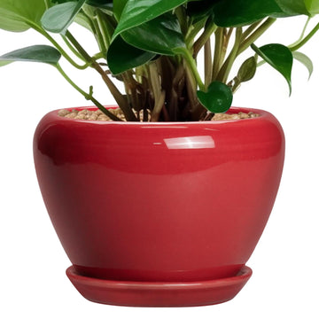 6 Inch Plant Pot - Glaze Modern Ceramic Planter for Indoor Plants, Succulent Pot with Drainage Hole and Saucer