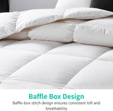 King Luxury 100% Organic Cotton All Season Down Feather Fibers Comforter