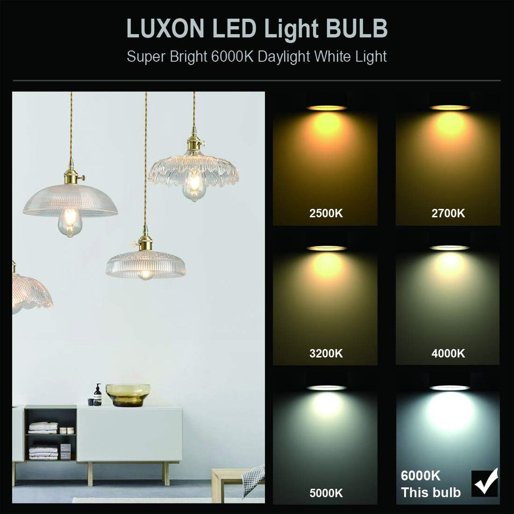 LED Edison Bulbs,Dimmable Vintage Light Bulbs,6W Cool,E26 Clear Glass